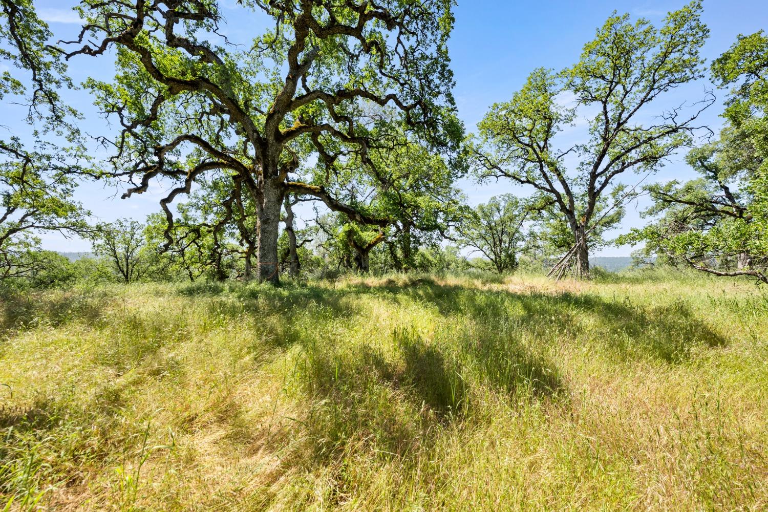 Detail Gallery Image 5 of 22 For 0 Peaceful Valley Road, Colfax,  CA 95713 - – Beds | – Baths