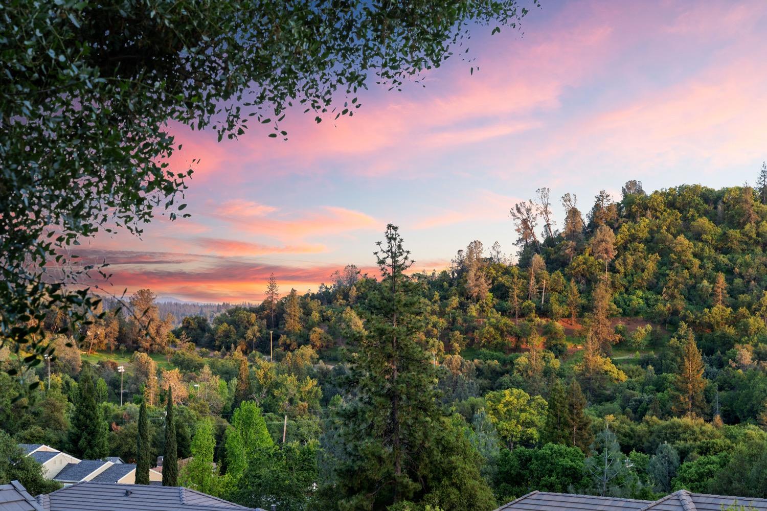 Brendan Way, Placerville, California image 24