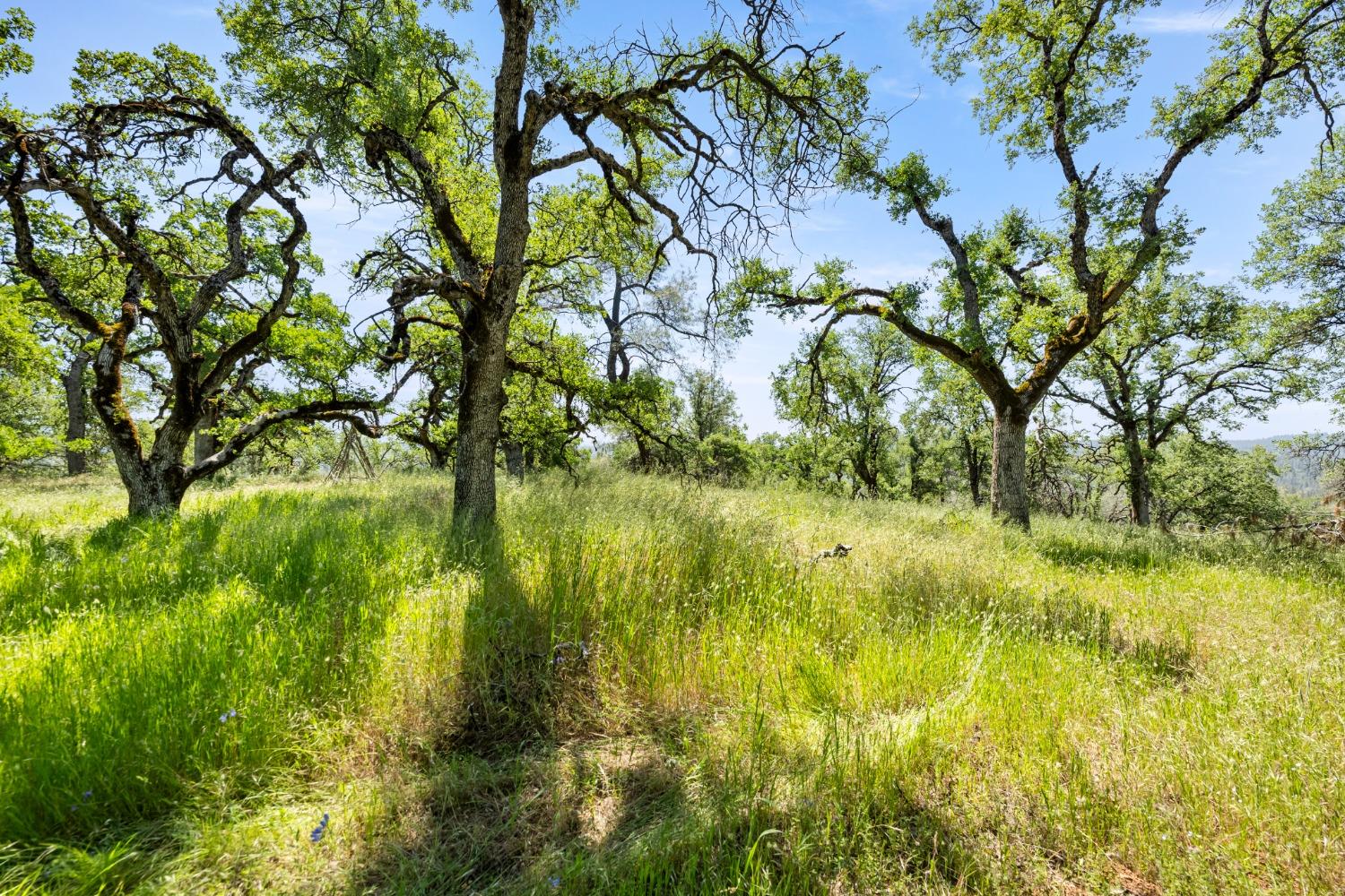 Detail Gallery Image 6 of 22 For 0 Peaceful Valley Road, Colfax,  CA 95713 - – Beds | – Baths