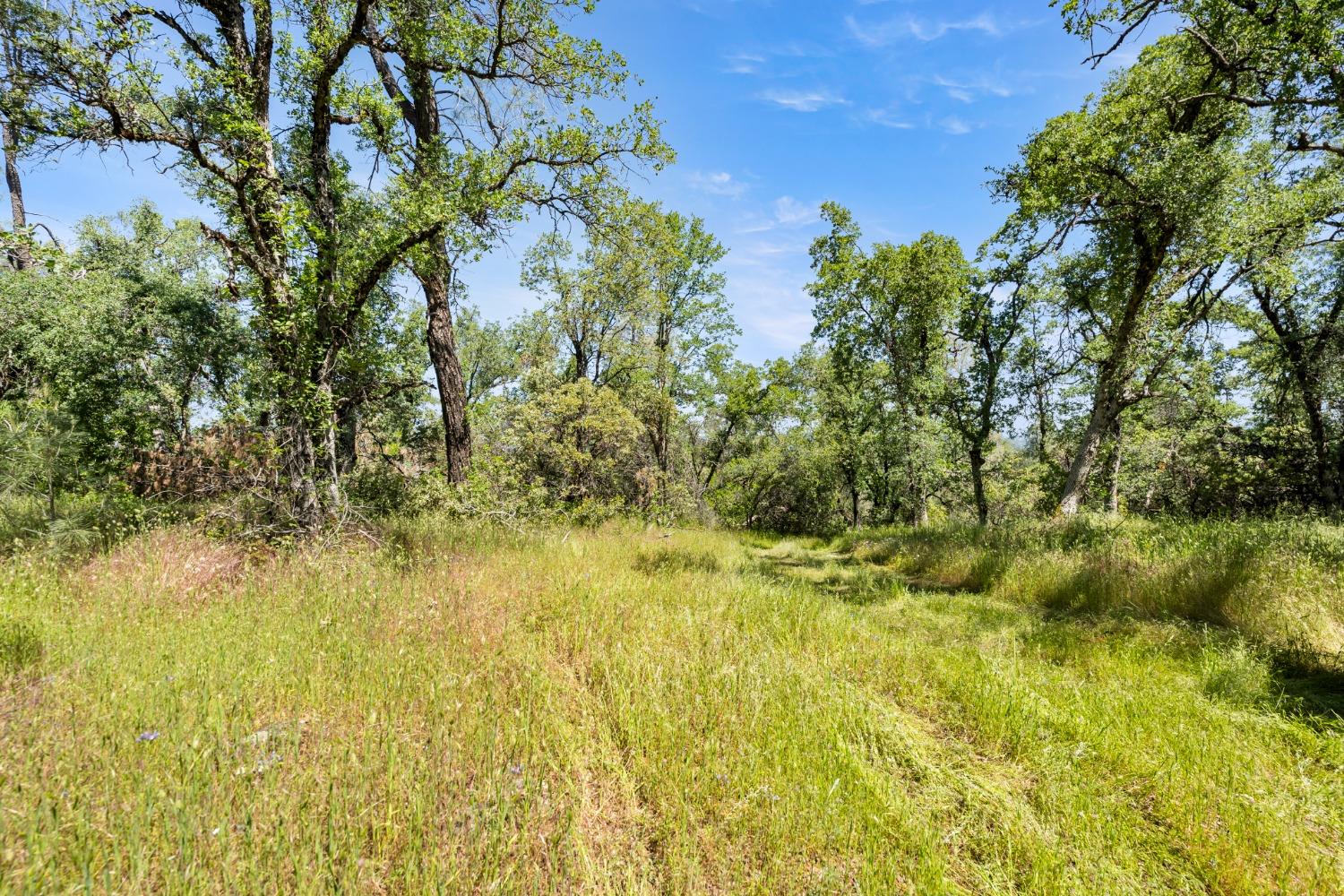 Detail Gallery Image 7 of 22 For 0 Peaceful Valley Road, Colfax,  CA 95713 - – Beds | – Baths