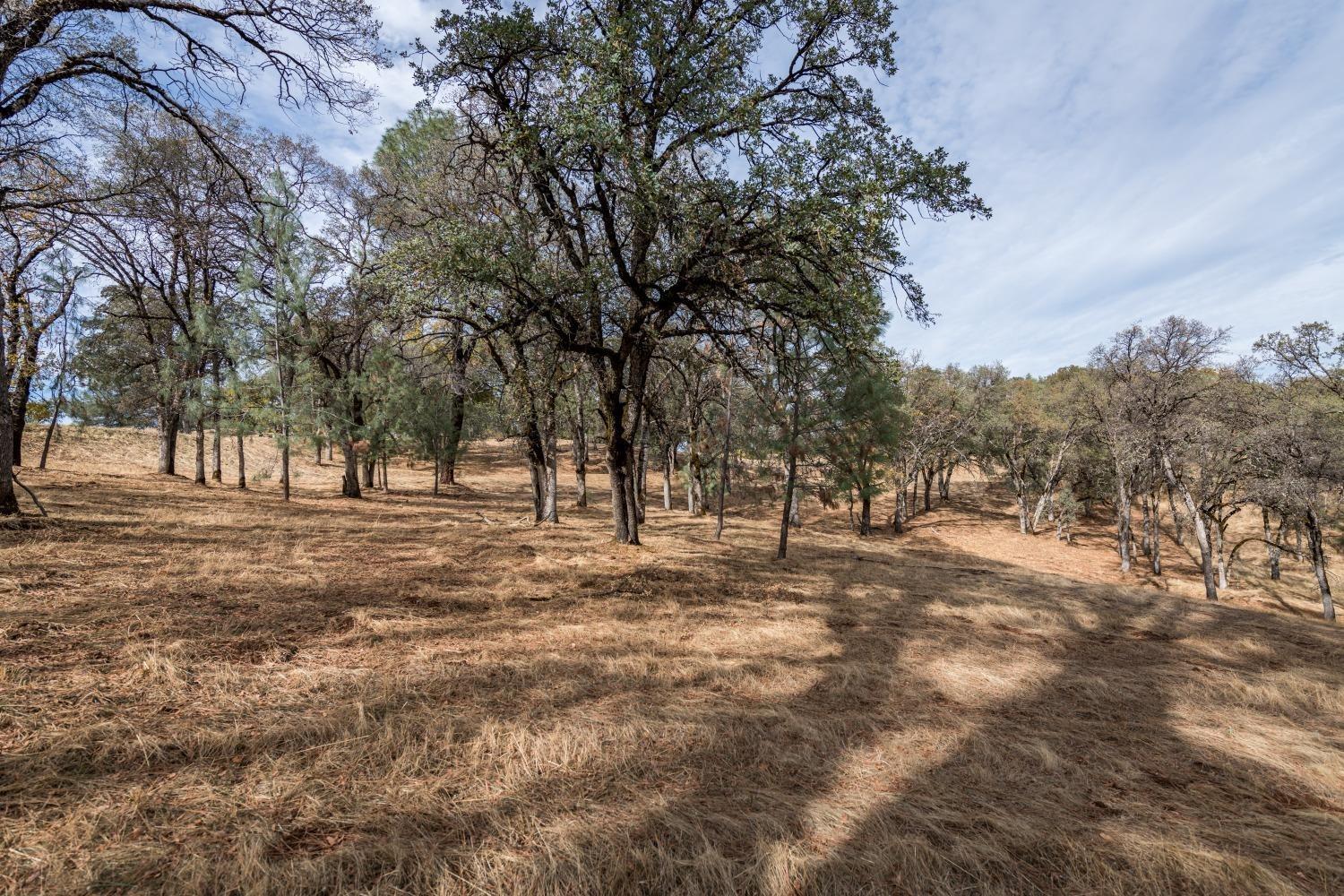 Detail Gallery Image 10 of 18 For 23045 Moon Ridge Ct, Auburn,  CA 95602 - – Beds | – Baths