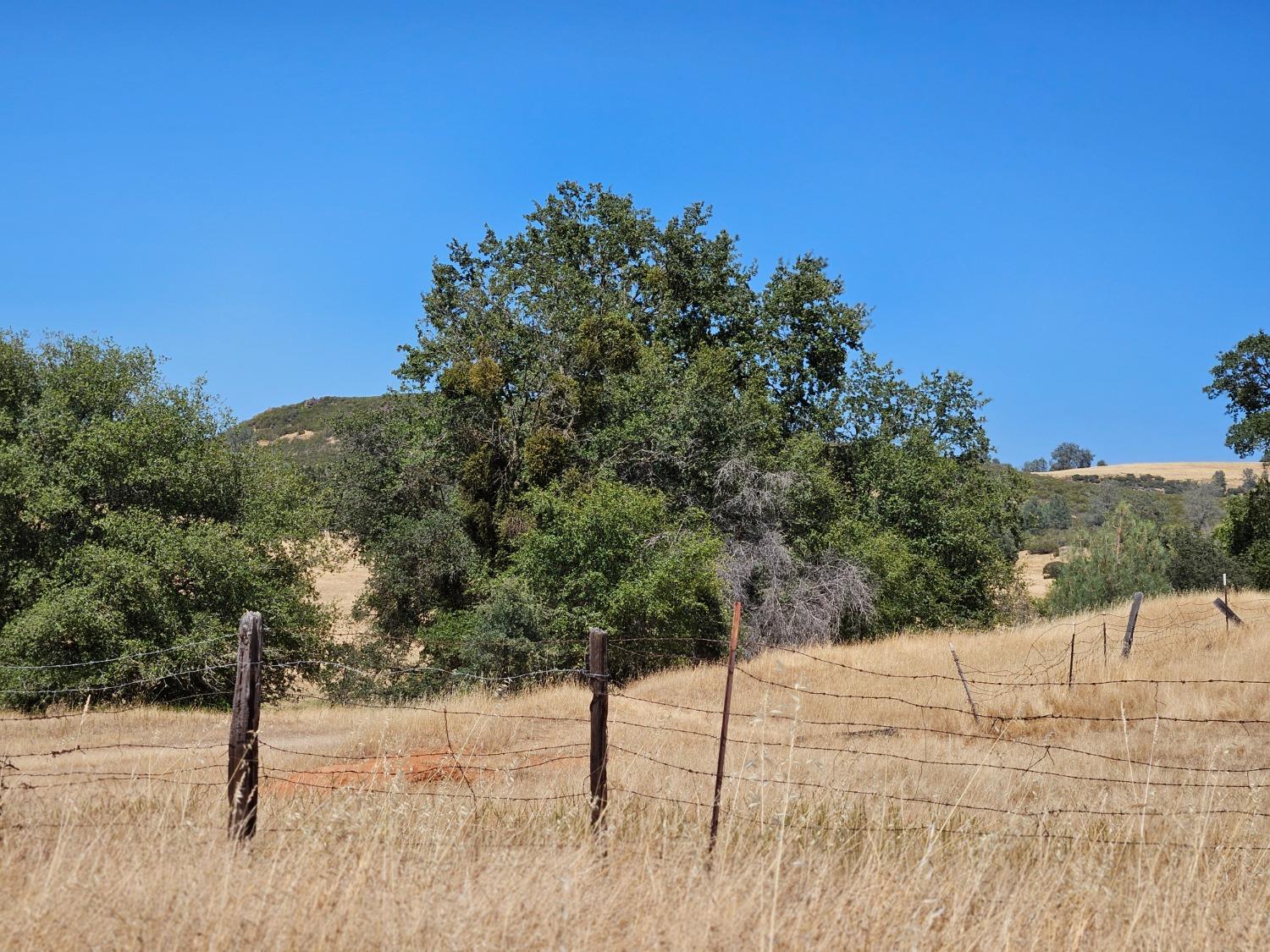 Detail Gallery Image 1 of 11 For 0 Highway 12, Valley Springs,  CA 95252 - – Beds | – Baths