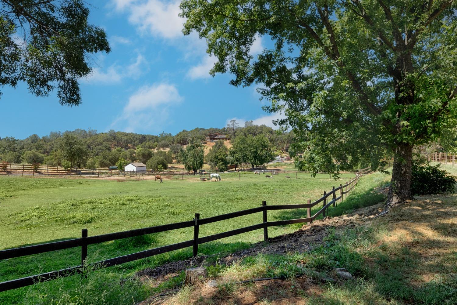 Rattlesnake Road, Newcastle, California image 3