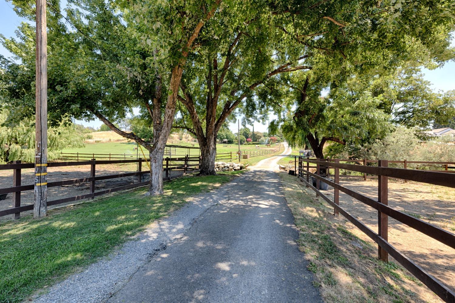 Rattlesnake Road, Newcastle, California image 1