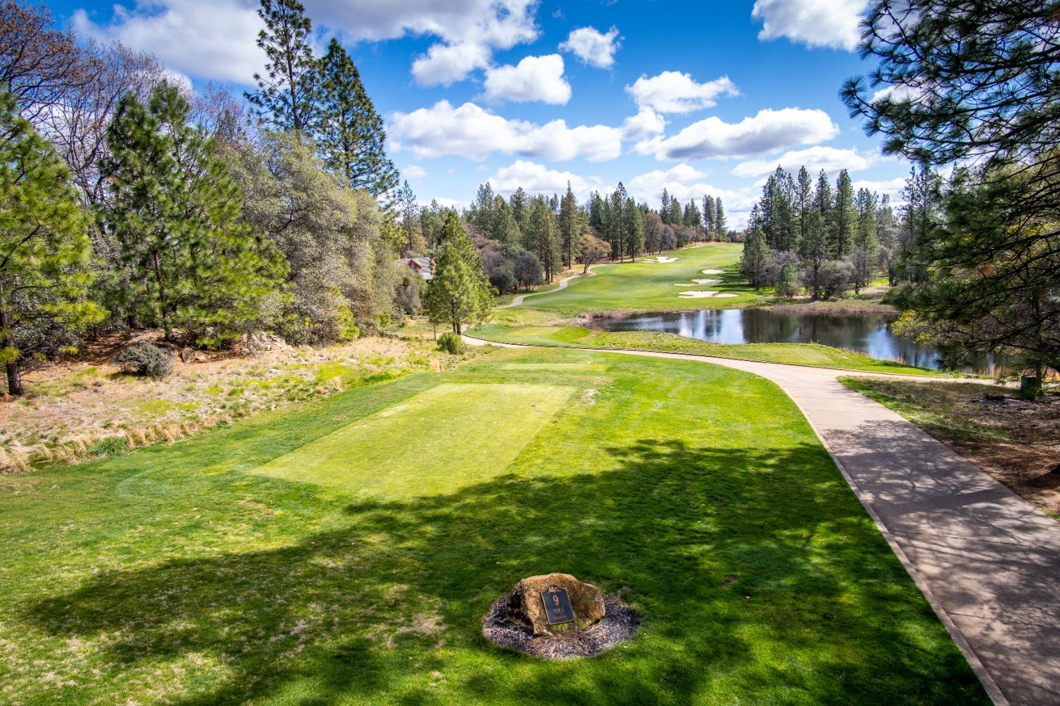 Detail Gallery Image 56 of 65 For 2920 White Alder Ct, Meadow Vista,  CA 95722 - 4 Beds | 4/1 Baths