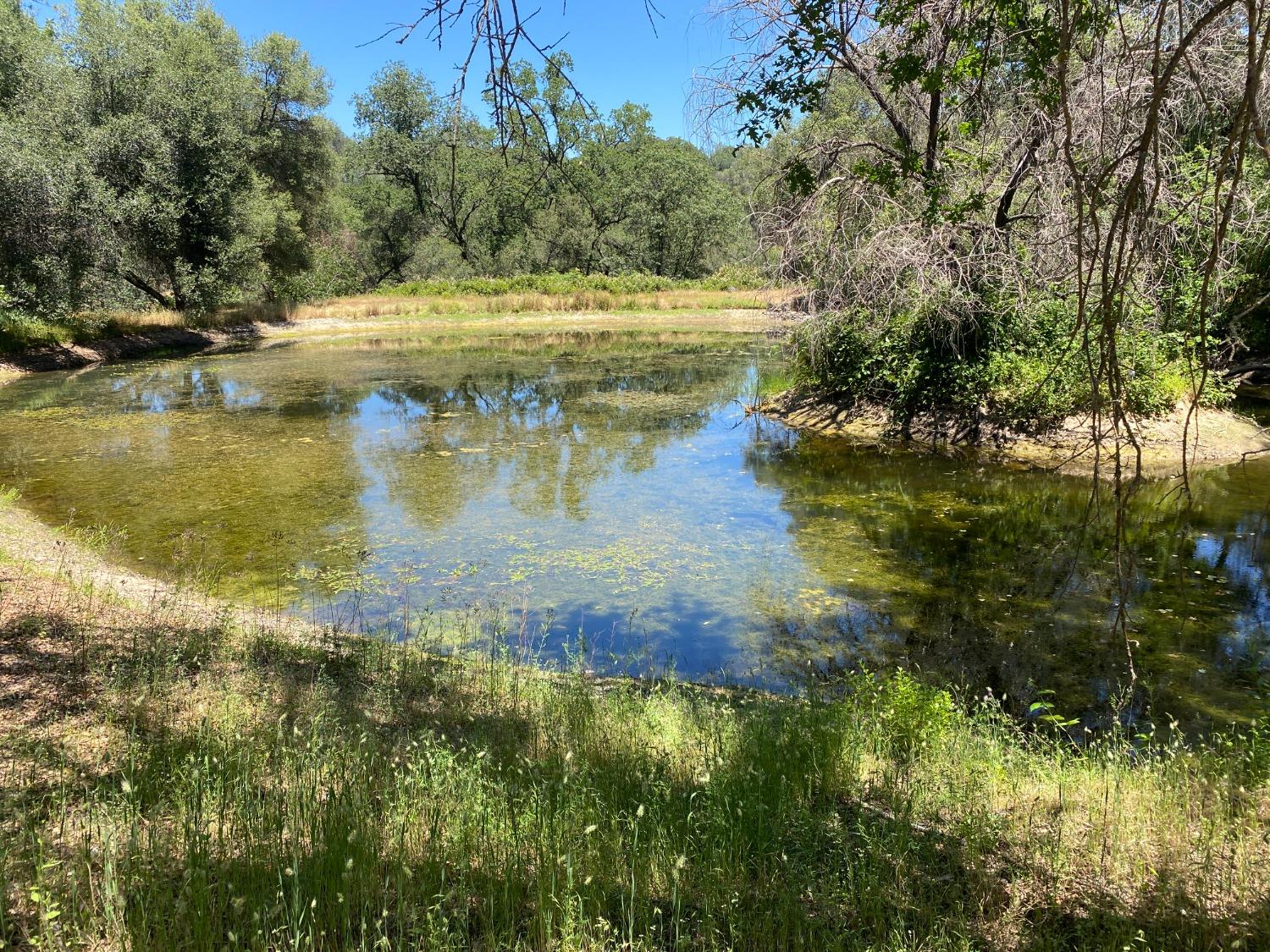 Bountiful Place Drive, Placerville, California image 18