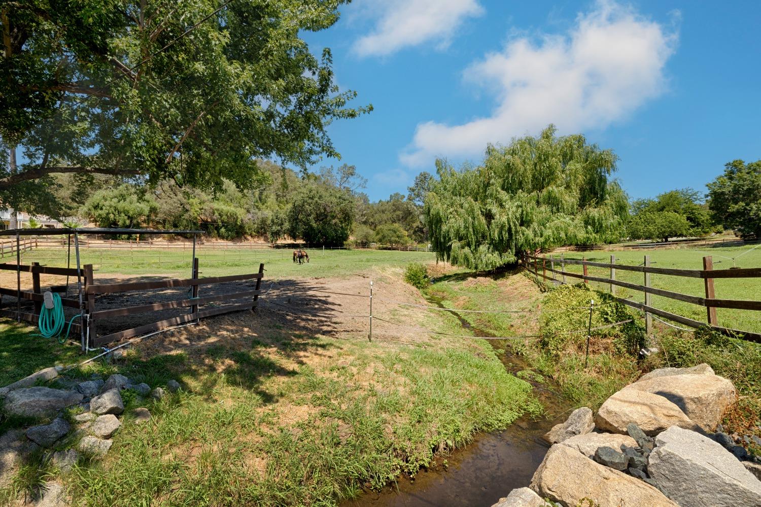 Rattlesnake Road, Newcastle, California image 7