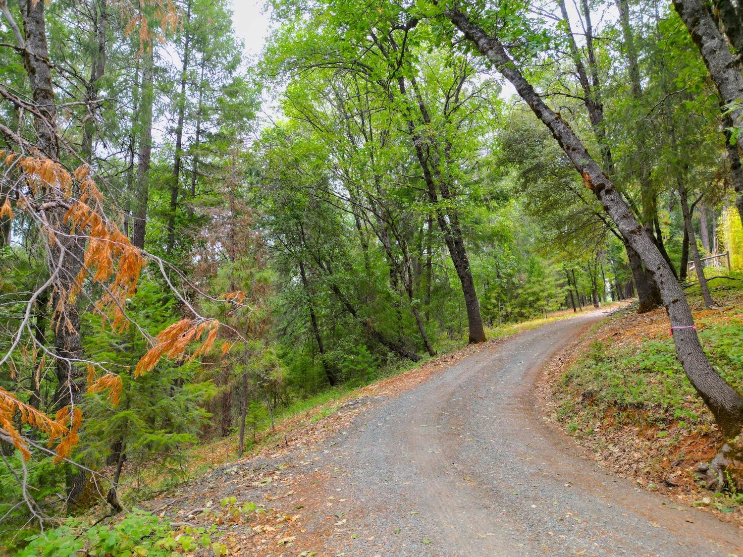 Louis Road, Grass Valley, California image 3