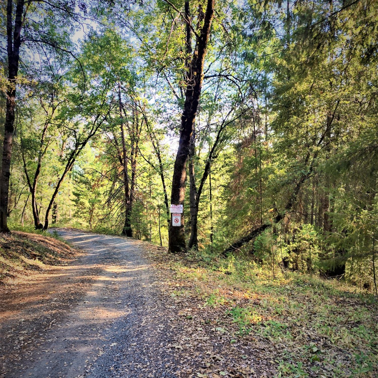 Louis Road, Grass Valley, California image 10