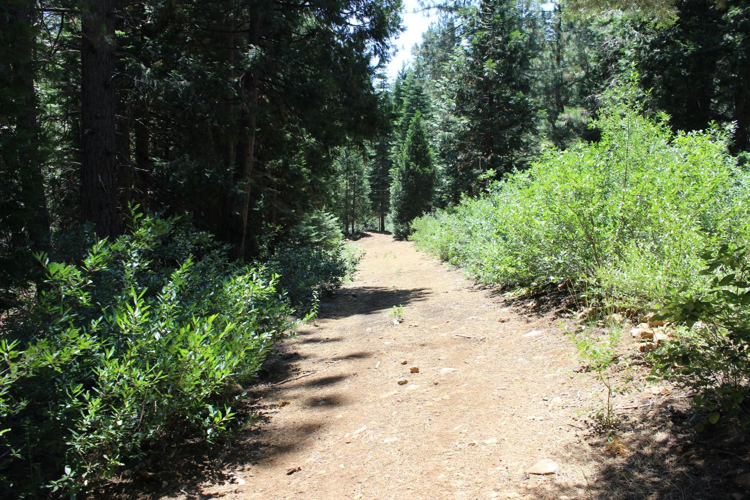 Detail Gallery Image 2 of 11 For 0 Skyline Dr., Emigrant Gap,  CA 95715 - – Beds | – Baths