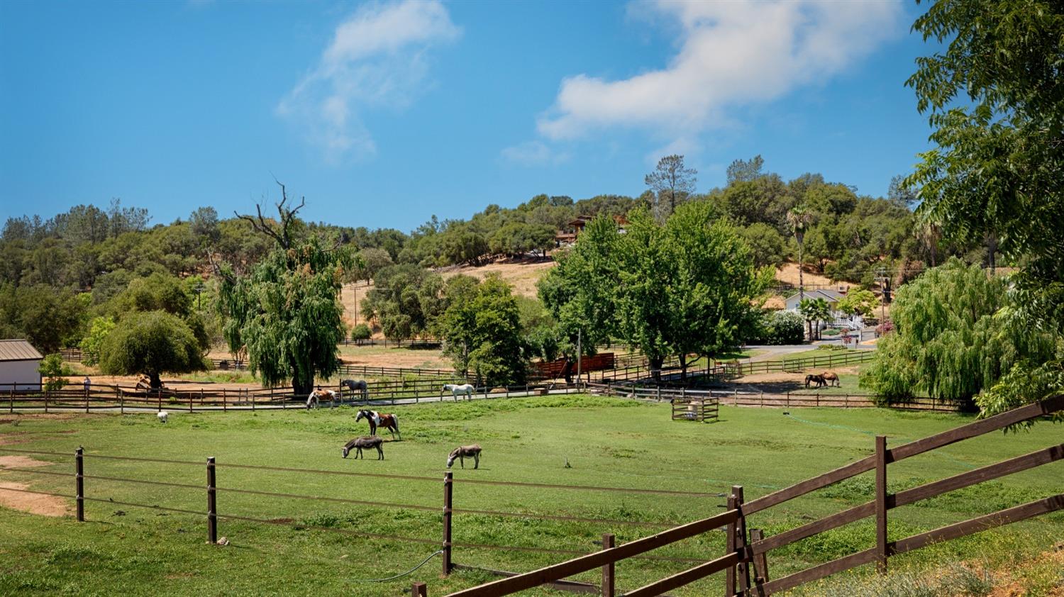 Rattlesnake Road, Newcastle, California image 2