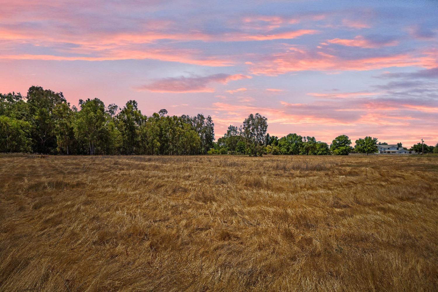 Gledhill Road, Yuba City, California image 7