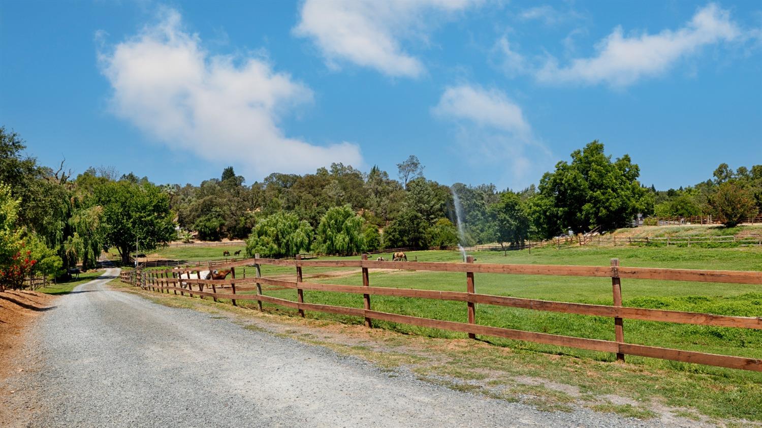 Rattlesnake Road, Newcastle, California image 9