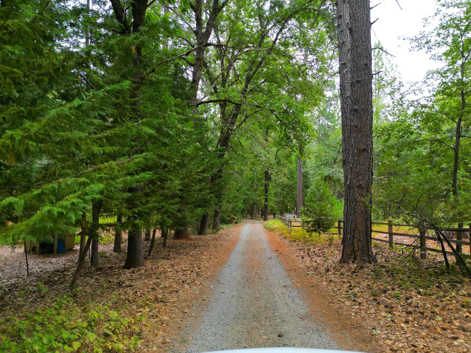 Louis Road, Grass Valley, California image 1