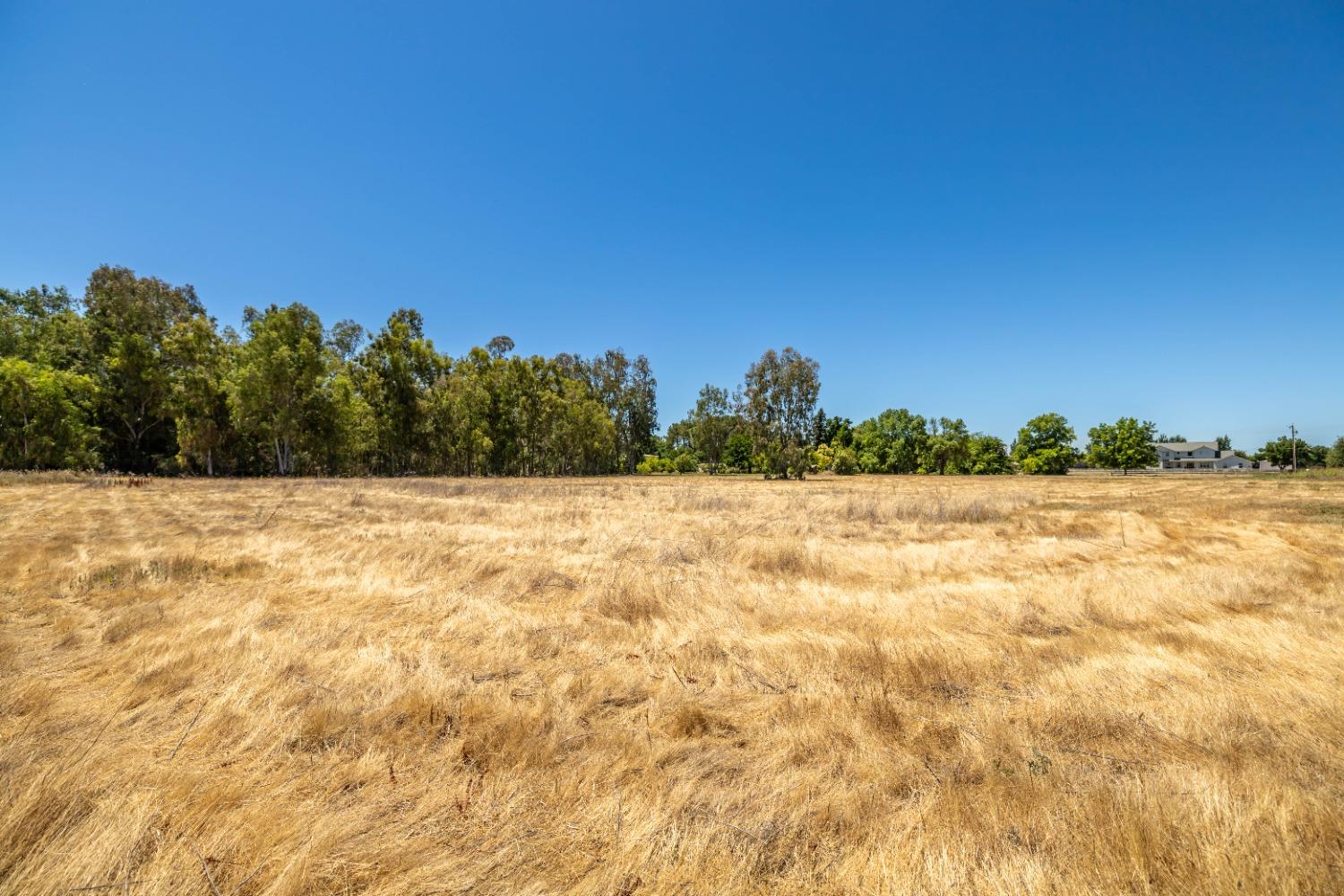 Gledhill Road, Yuba City, California image 10