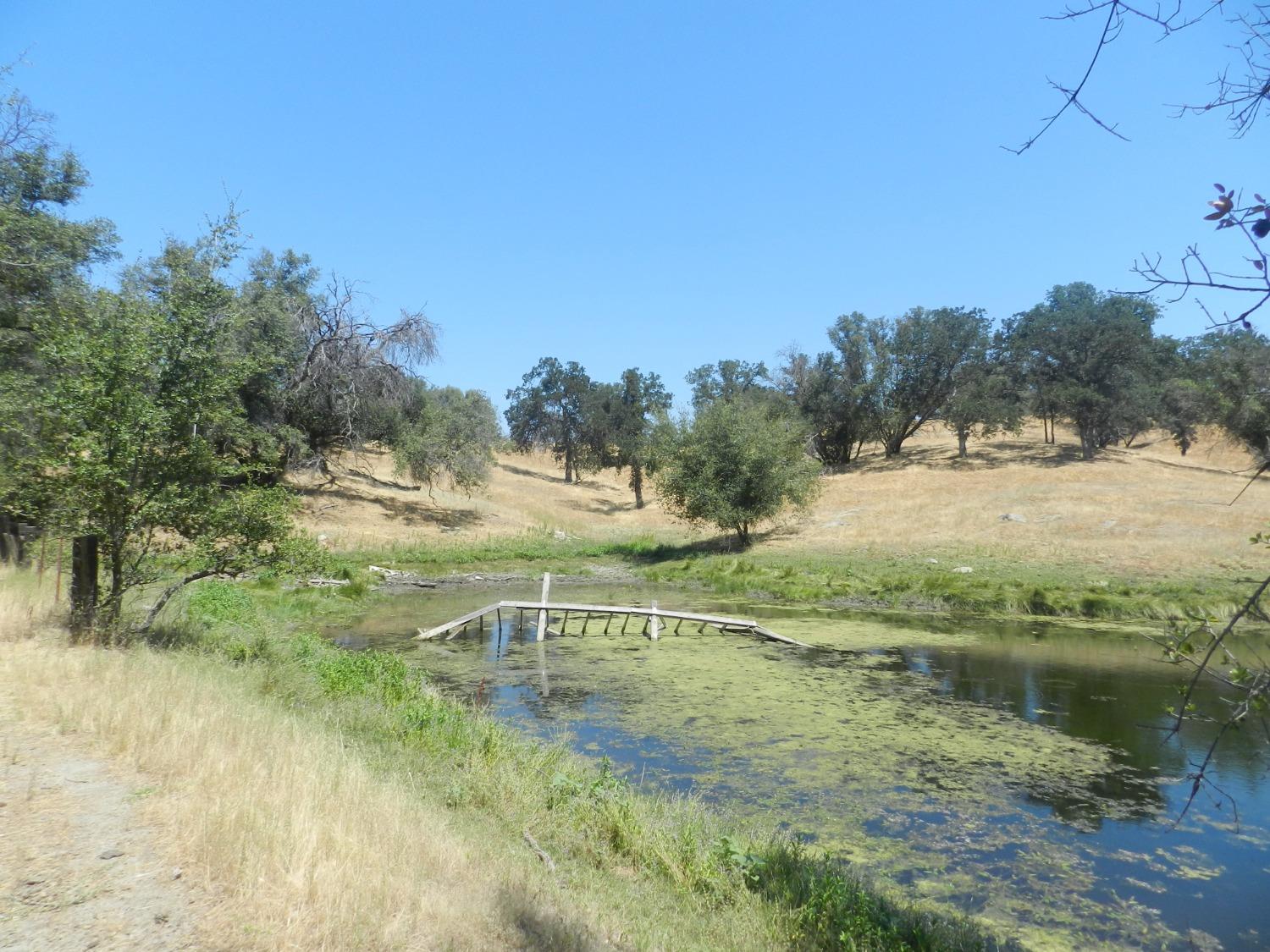 Detail Gallery Image 57 of 60 For 38289 Road 415, Raymond,  CA 93653 - 3 Beds | 2 Baths