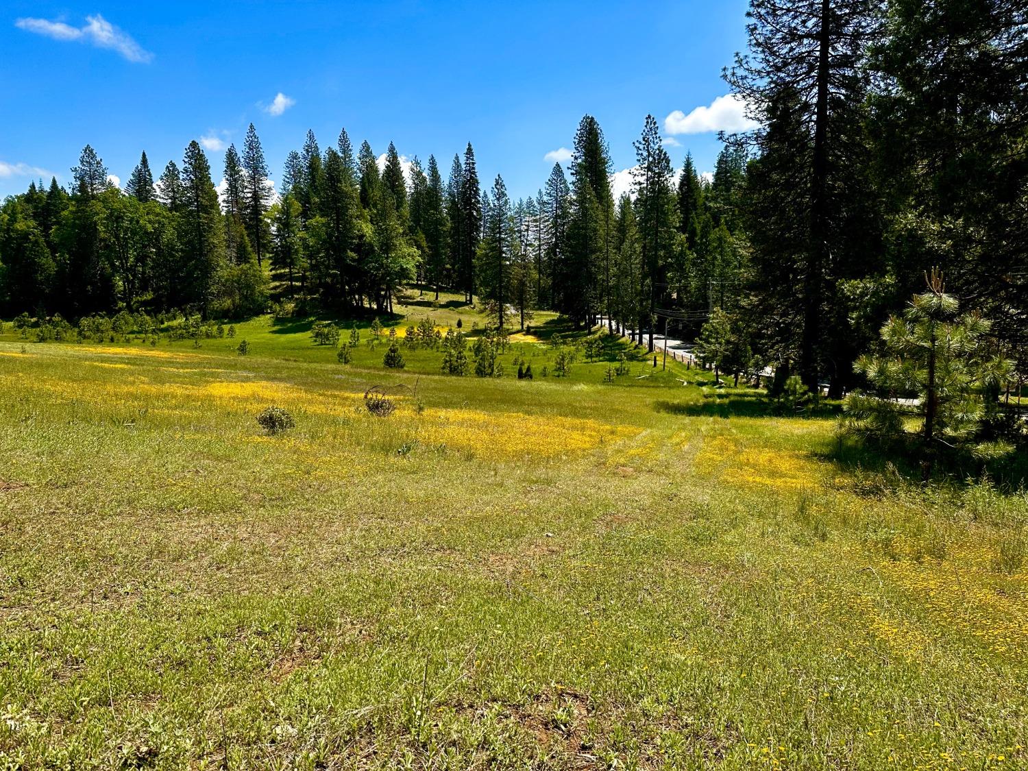 Detail Gallery Image 67 of 87 For 5110 Sly Park Road, Pollock Pines,  CA 95726 - 4 Beds | 2/1 Baths