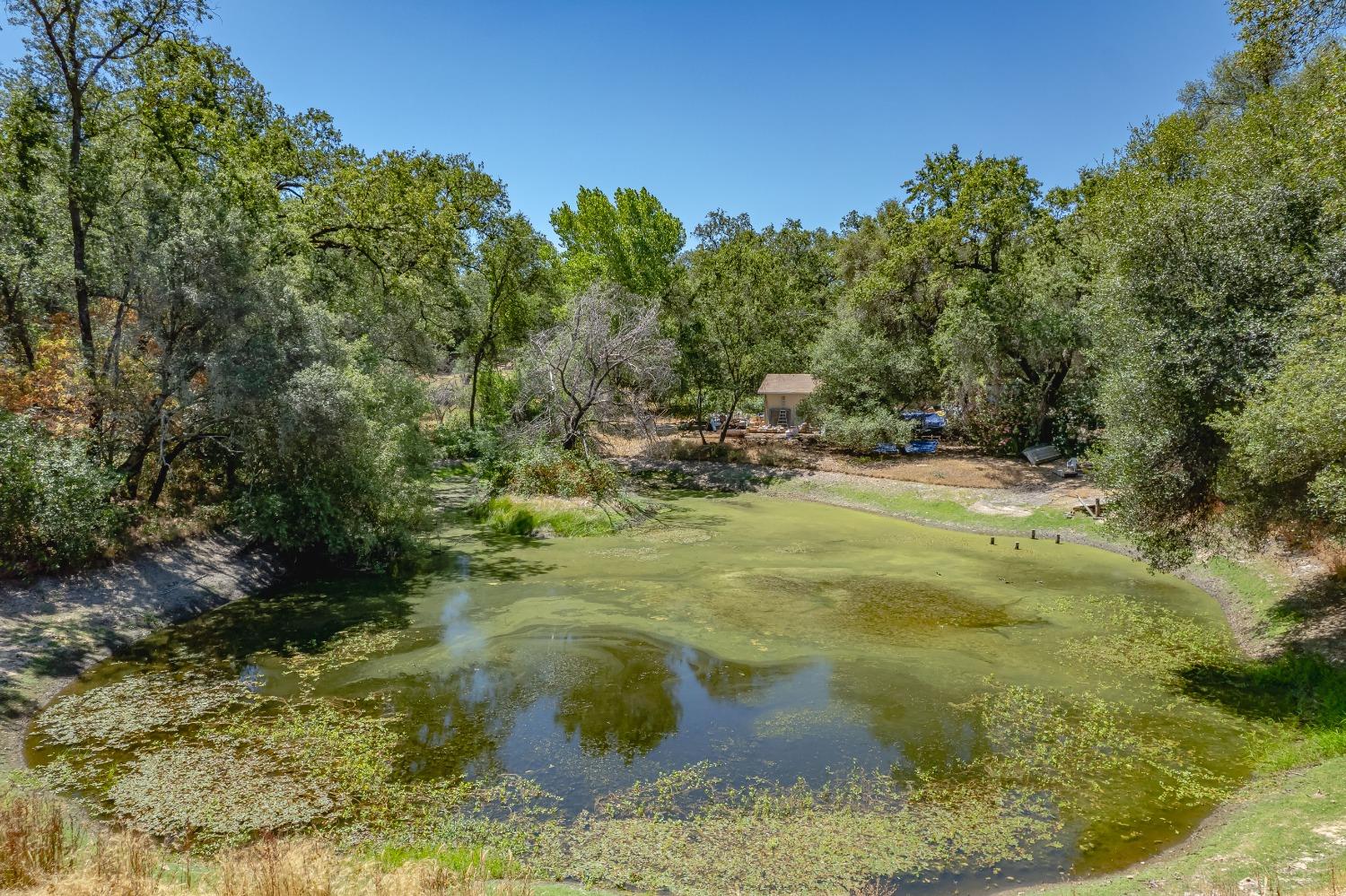 Bountiful Place Drive, Placerville, California image 32