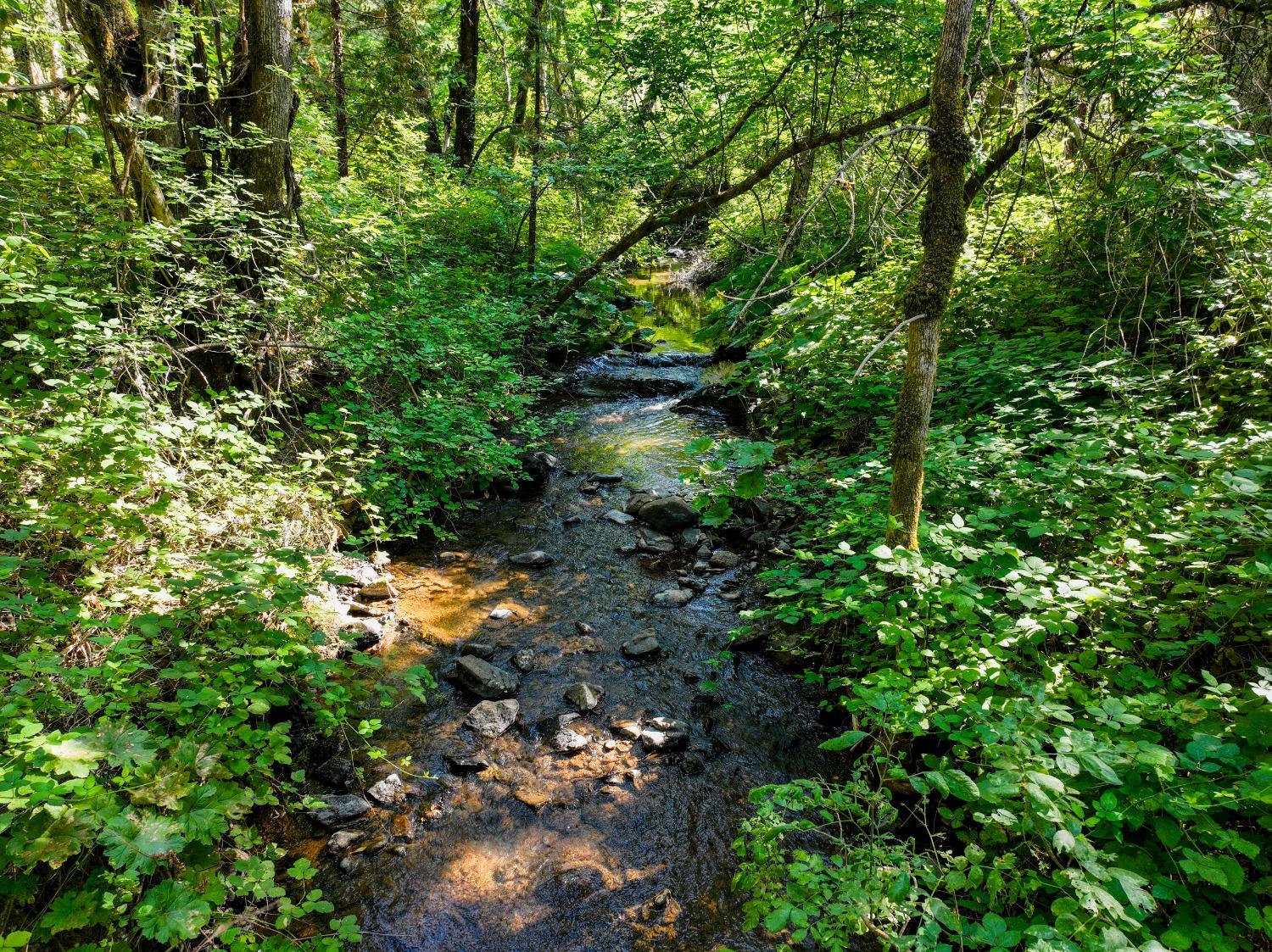 Sivers Lane, Grass Valley, California image 25