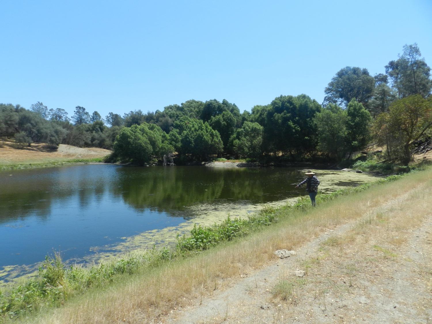 Detail Gallery Image 59 of 60 For 38289 Road 415, Raymond,  CA 93653 - 3 Beds | 2 Baths