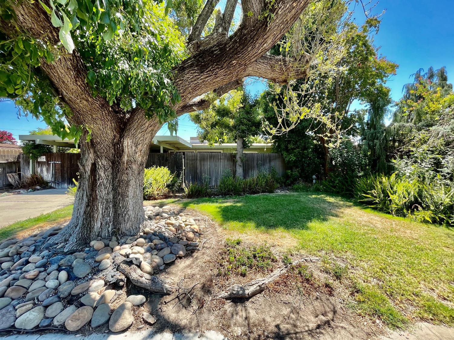 Detail Gallery Image 2 of 29 For 316 Edward Ave, Manteca,  CA 95336 - 3 Beds | 1/1 Baths