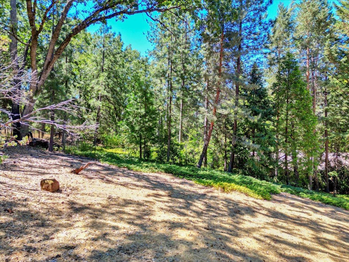 Marion Way, Grass Valley, California image 45