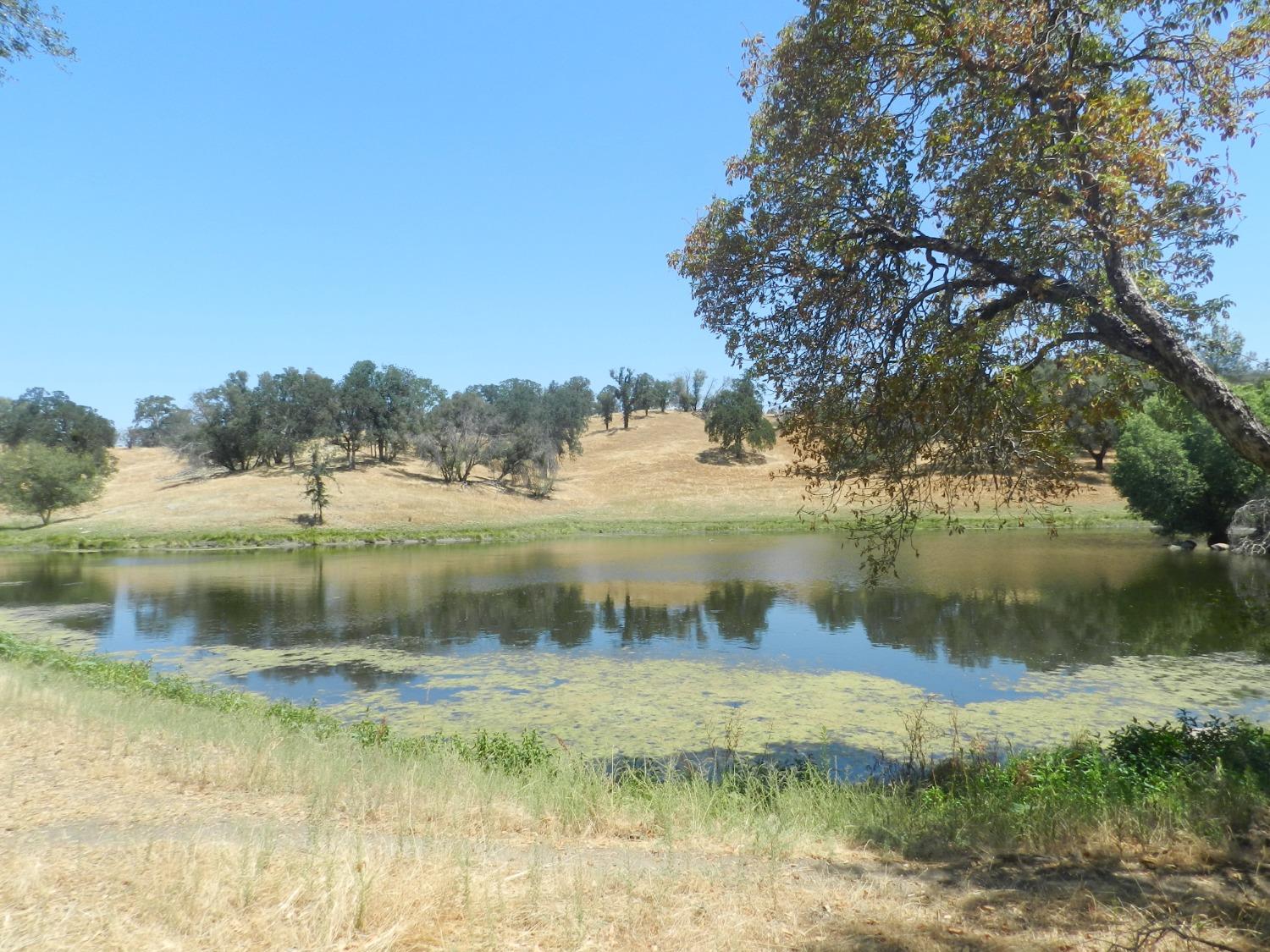 Detail Gallery Image 40 of 60 For 38289 Road 415, Raymond,  CA 93653 - 3 Beds | 2 Baths