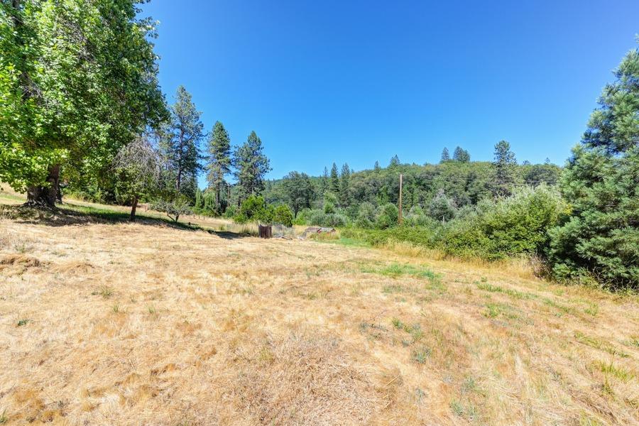 Detail Gallery Image 60 of 67 For 16736 Colfax Hwy, Grass Valley,  CA 95945 - 2 Beds | 2 Baths