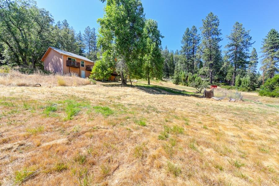 Detail Gallery Image 59 of 67 For 16736 Colfax Hwy, Grass Valley,  CA 95945 - 2 Beds | 2 Baths