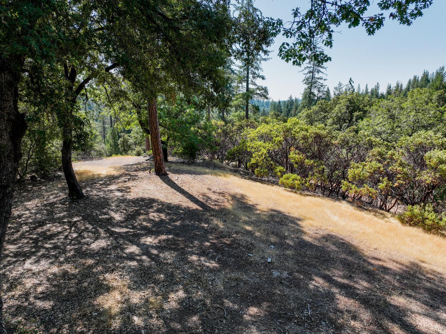 Sivers Lane, Grass Valley, California image 8