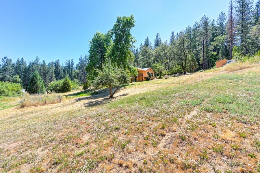 Detail Gallery Image 57 of 67 For 16736 Colfax Hwy, Grass Valley,  CA 95945 - 2 Beds | 2 Baths