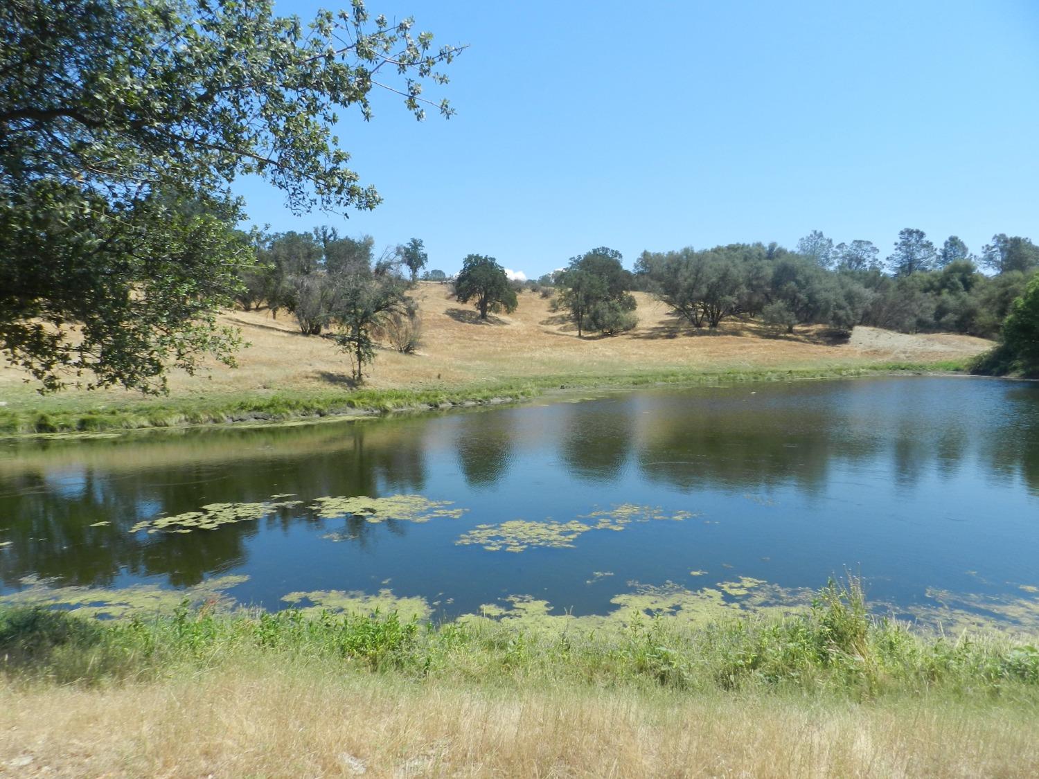 Detail Gallery Image 39 of 60 For 38289 Road 415, Raymond,  CA 93653 - 3 Beds | 2 Baths