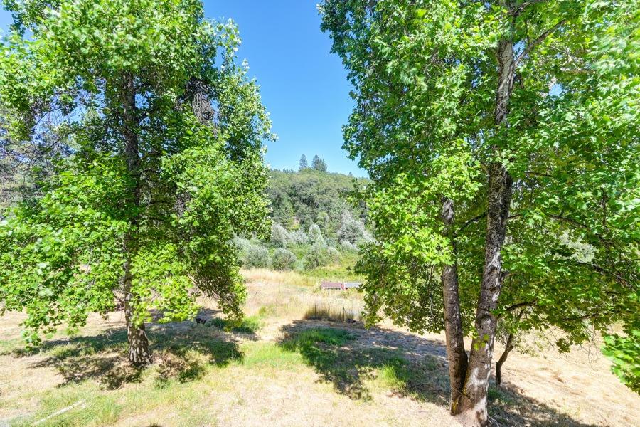 Detail Gallery Image 45 of 67 For 16736 Colfax Hwy, Grass Valley,  CA 95945 - 2 Beds | 2 Baths