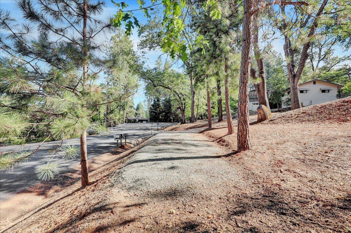 Marion Way, Grass Valley, California image 49
