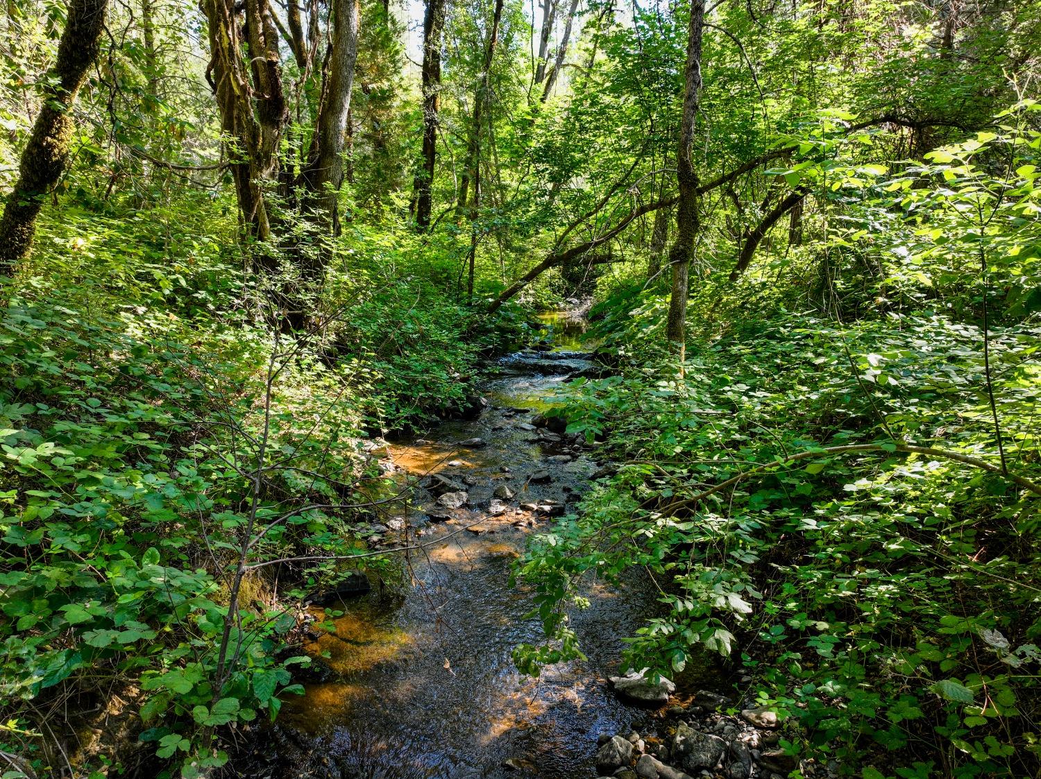 Sivers Lane, Grass Valley, California image 1