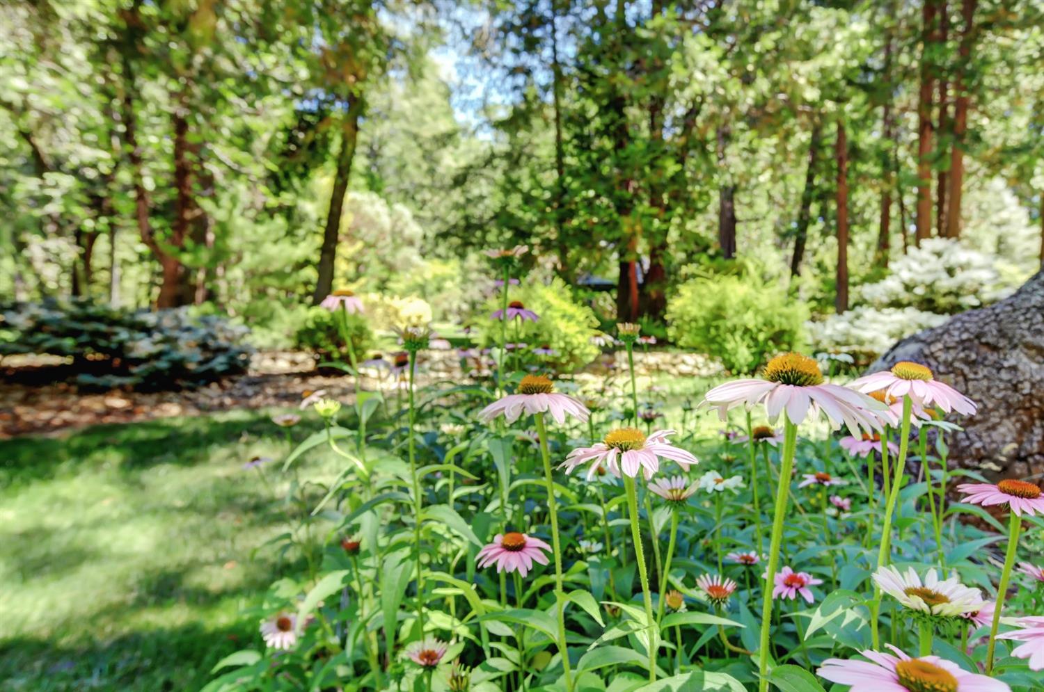 Detail Gallery Image 82 of 97 For 13558 Greenstone Ct, Nevada City,  CA 95959 - 4 Beds | 3/3 Baths