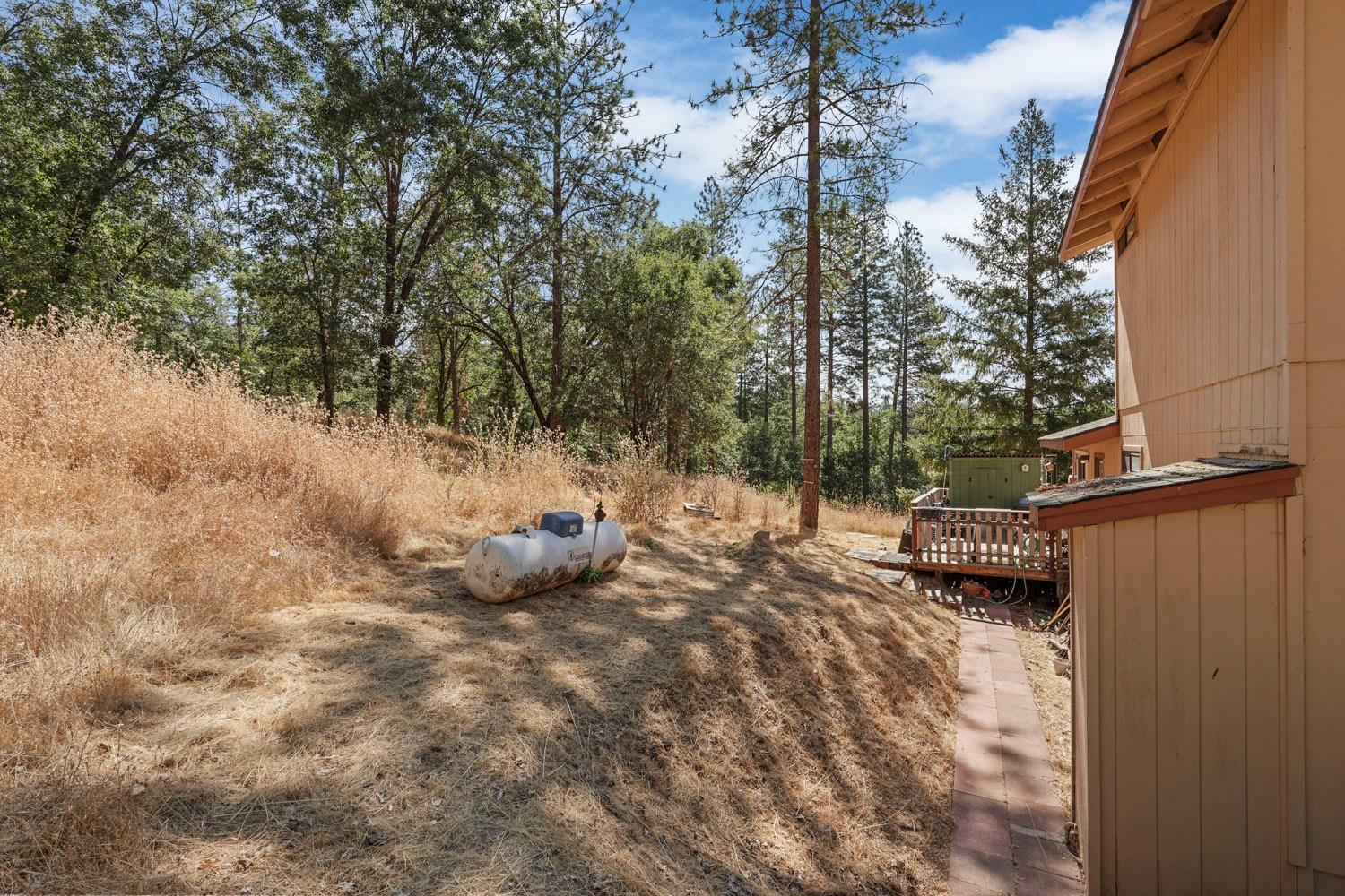 Detail Gallery Image 62 of 65 For 402 Rabbits Foot Rd, West Point,  CA 95255 - 3 Beds | 2 Baths