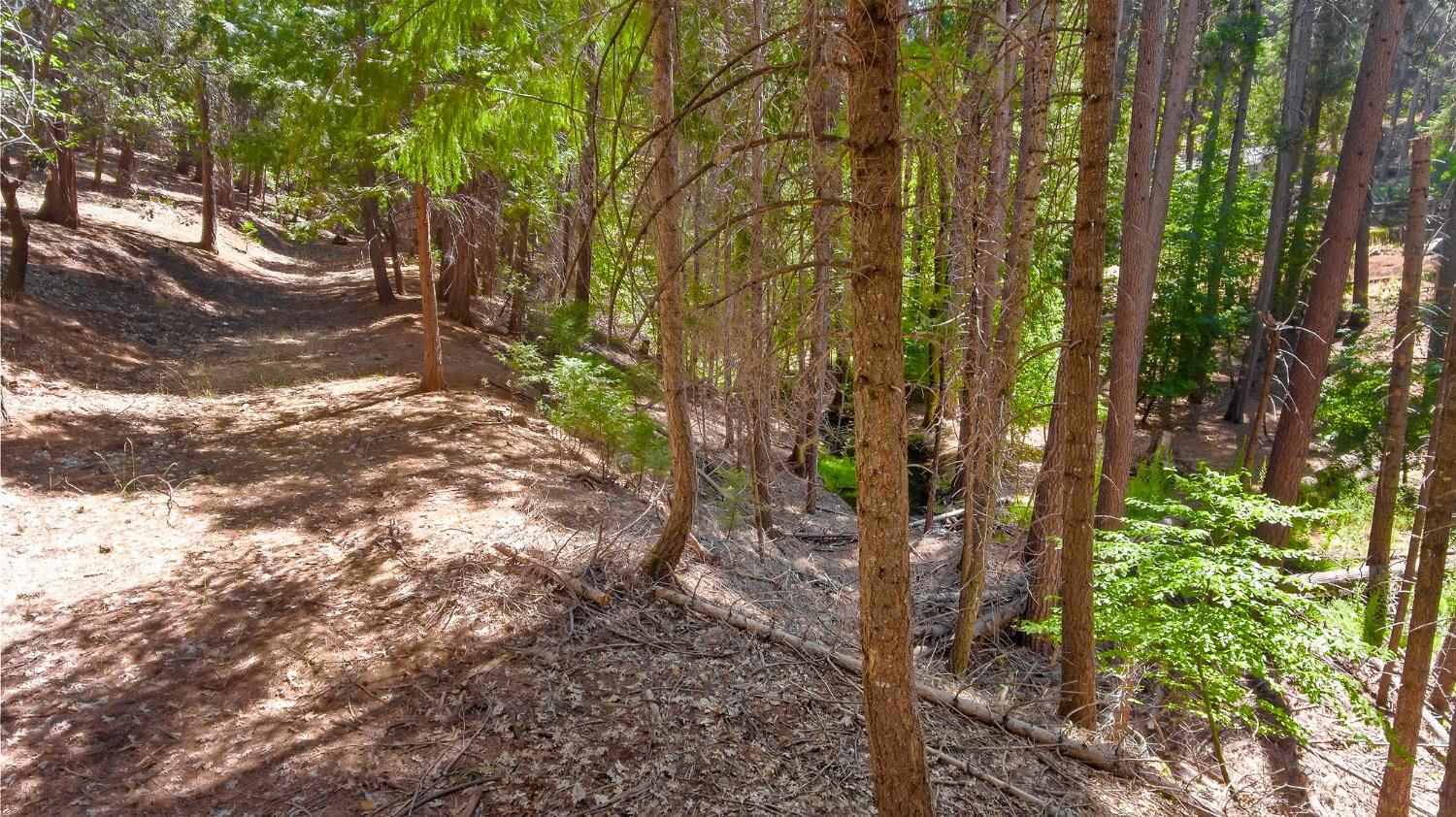 Detail Gallery Image 30 of 35 For 5100 Sierra Springs Dr, Pollock Pines,  CA 95726 - 2 Beds | 2 Baths