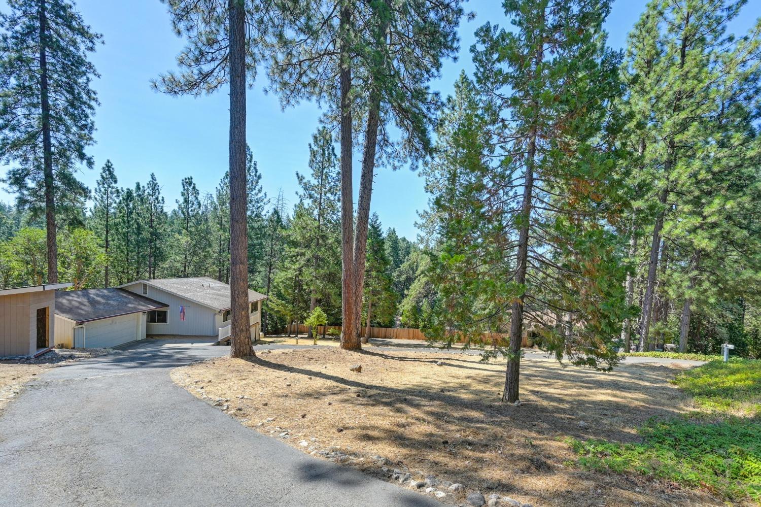 Happy Pines Drive, Foresthill, California image 3