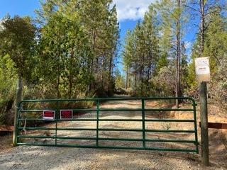 Detail Gallery Image 2 of 17 For 16737 Patterson Mine Rd, Nevada City,  CA 95959 - – Beds | – Baths