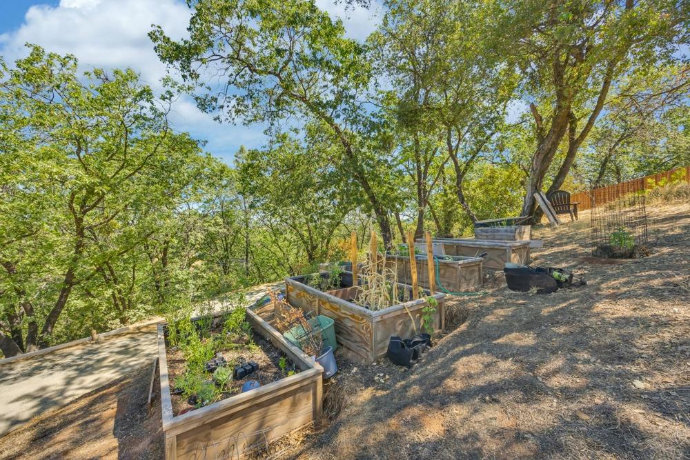 Detail Gallery Image 43 of 48 For 5798 Hollyberry Ln, Placerville,  CA 95667 - 3 Beds | 2 Baths