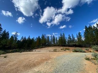 Detail Gallery Image 14 of 17 For 16737 Patterson Mine Rd, Nevada City,  CA 95959 - – Beds | – Baths