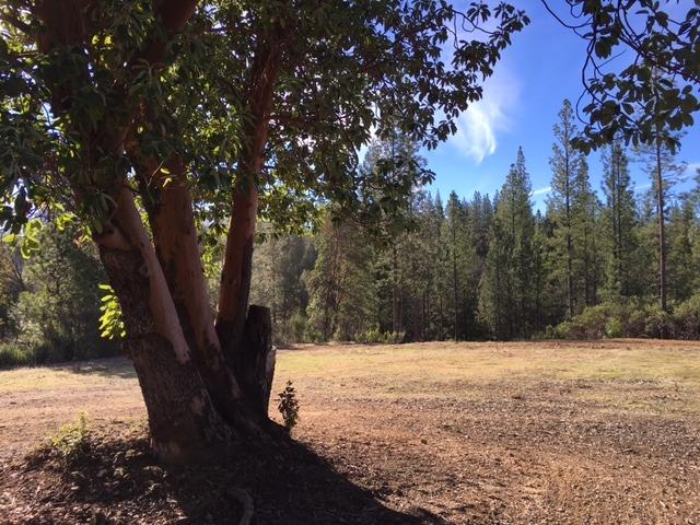 Detail Gallery Image 3 of 17 For 16737 Patterson Mine Rd, Nevada City,  CA 95959 - – Beds | – Baths