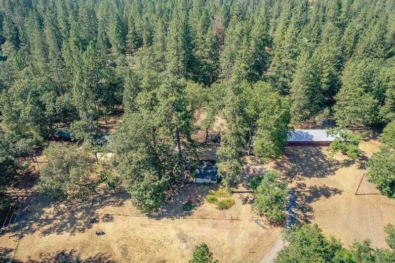 Wilson Road, Grass Valley, California image 45