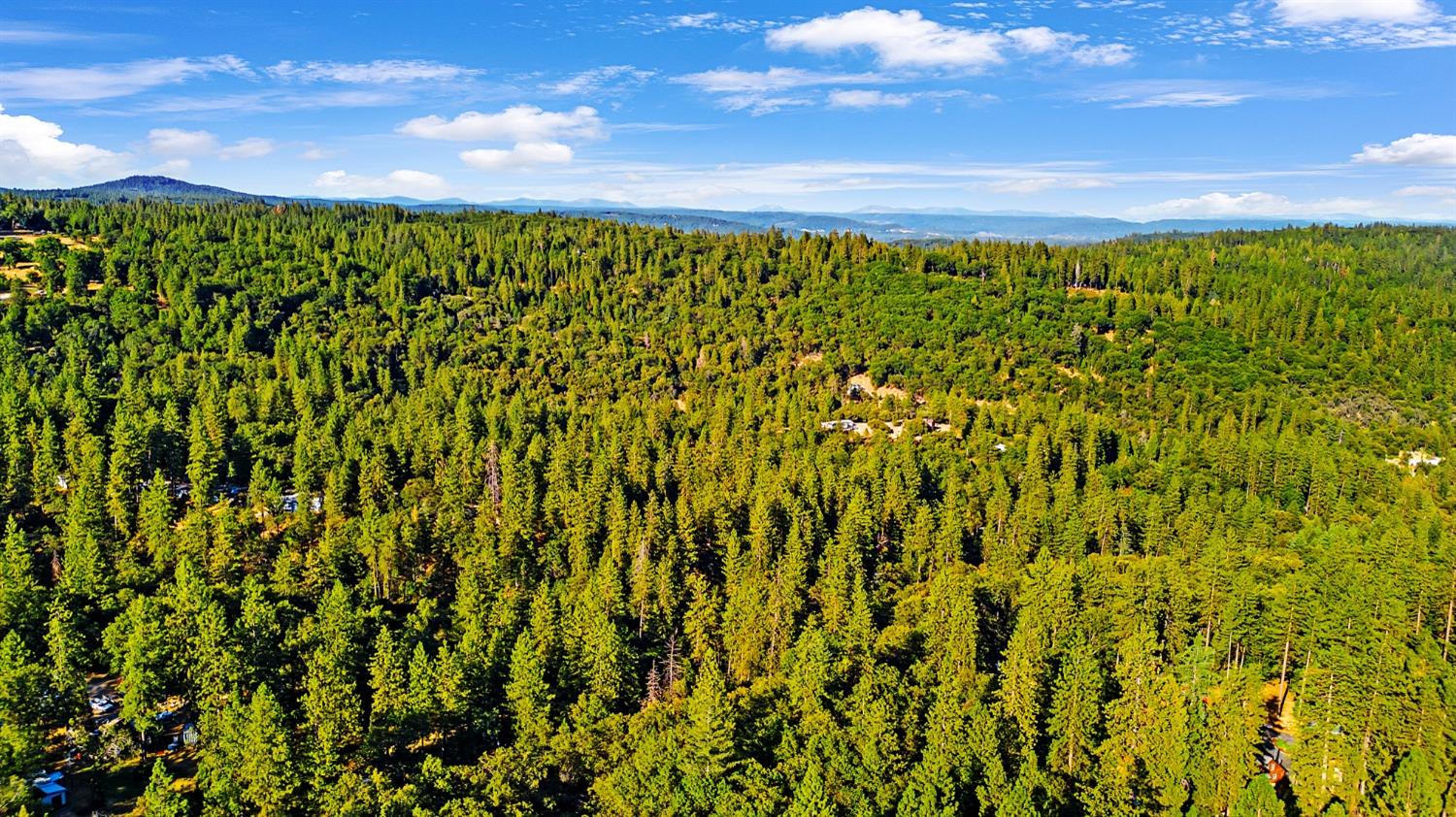 Brooks Road, Grass Valley, California image 14
