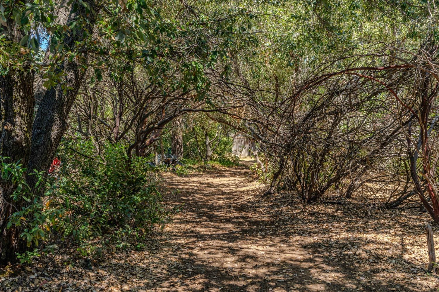 Shake Ridge Road, Sutter Creek, California image 11