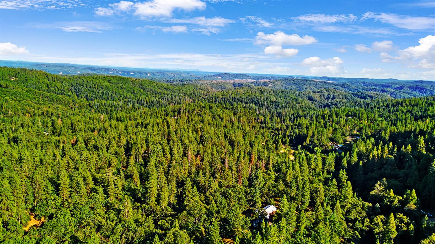 Brooks Road, Grass Valley, California image 42
