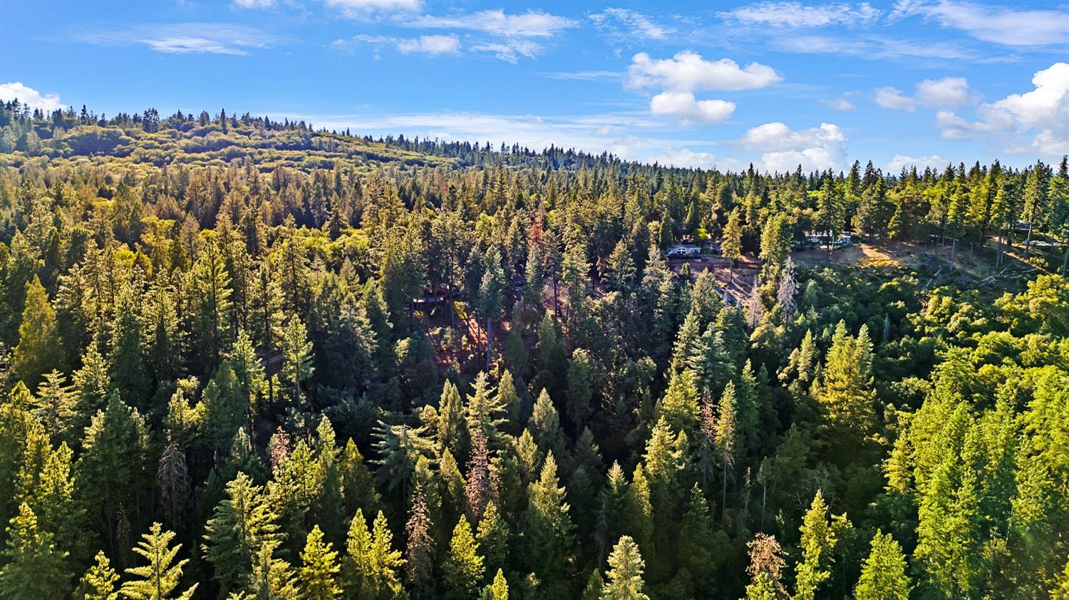 Brooks Road, Grass Valley, California image 16