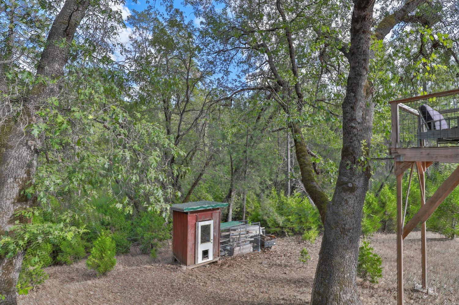 Detail Gallery Image 25 of 60 For 5955 Dolly Varden Ln, Pollock Pines,  CA 95726 - 3 Beds | 2 Baths