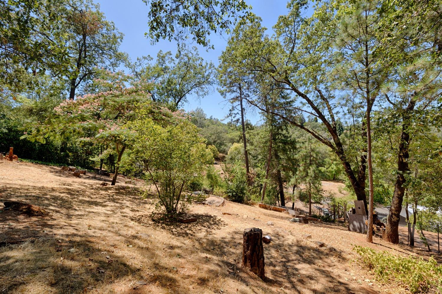 Hammond, Auburn, California image 31